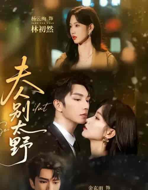 夫人别太野(70集全)金玄雨&杨云绚-紫橙网创项目网
