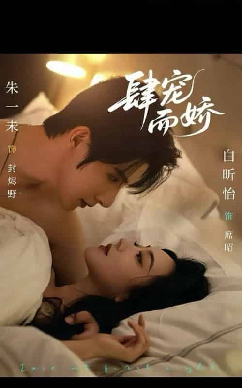 肆宠而娇（78集全）朱一未＆白昕怡-紫橙网创项目网