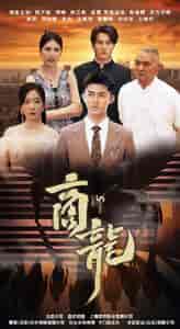 商龙（79集） - 紫橙阁短剧