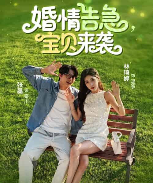 婚情告急宝贝来袭 婚情告急宝贝来袭