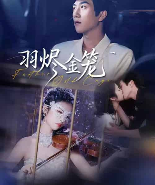 羽烬金笼（74集全）宋宇博＆肖诗雨-紫橙网创项目网
