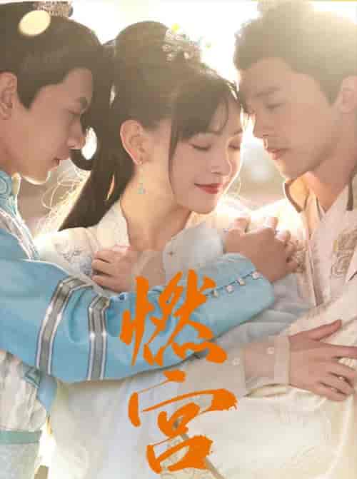 燃宫（101集）-紫橙网创项目网