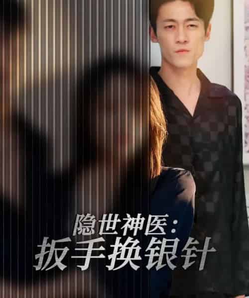 隐世神医：扳手换银针（30集全）左倩＆海龙-紫橙网创项目网