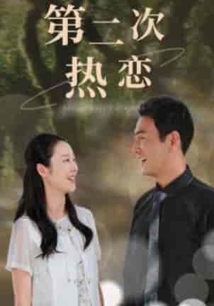 第二次热恋（48集）-紫橙网创项目网