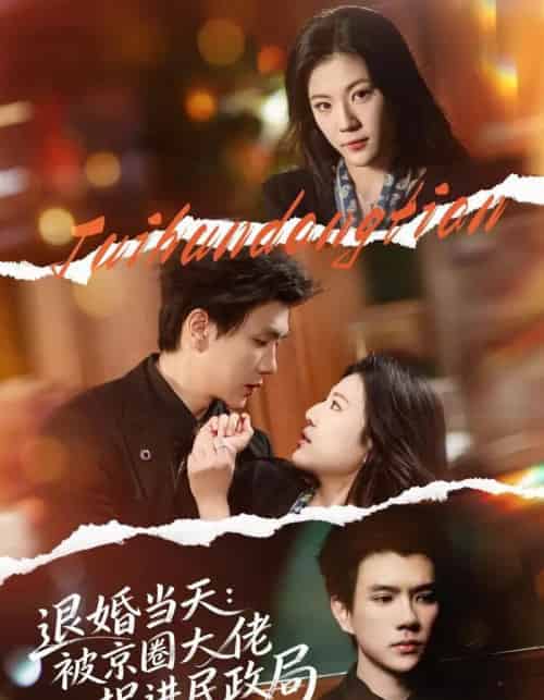 退婚当天：被京圈大佬拐进民政局（80集全）唐子璇＆梦龙-紫橙网创项目网