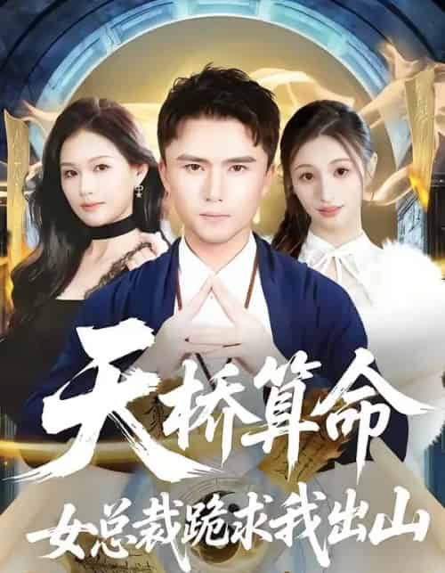 天桥算命女总裁跪求我出山(81集全)赵志盟&张颖洁-紫橙网创项目网