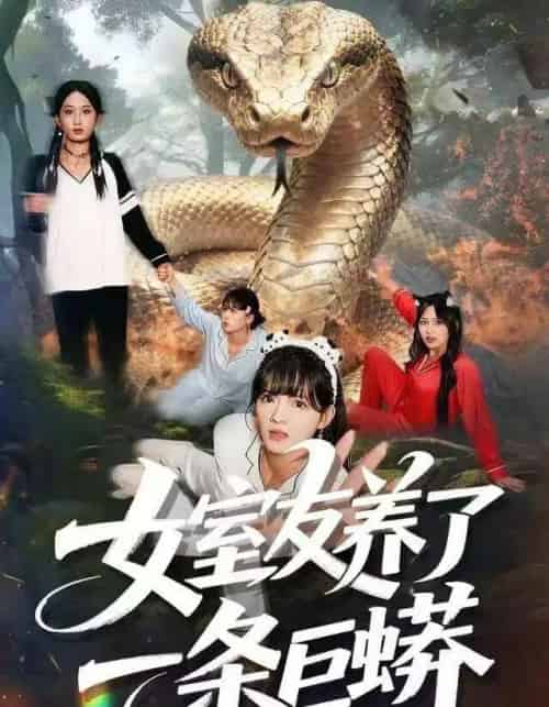 女室友养了一条巨蟒（80集全）彭洋洋＆郑凯＆常舒畅-紫橙网创项目网