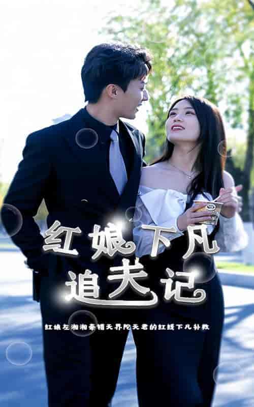 红娘下凡追夫记（100集） - 紫橙短剧