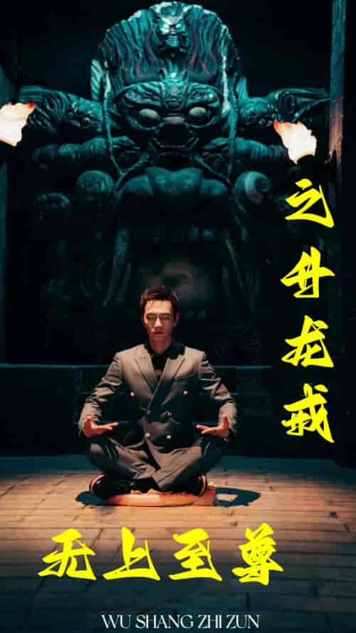 无上至尊之升龙戒（88集全） - 紫橙阁短剧