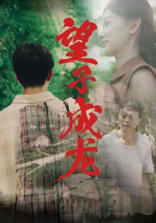 望子成龙（74集） - 紫橙阁短剧