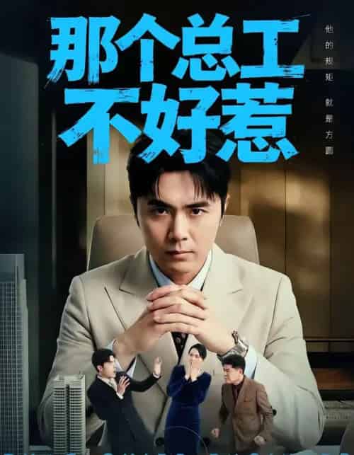 那个总工不好惹(55集全)吴子明&刘浩强-紫橙网创项目网