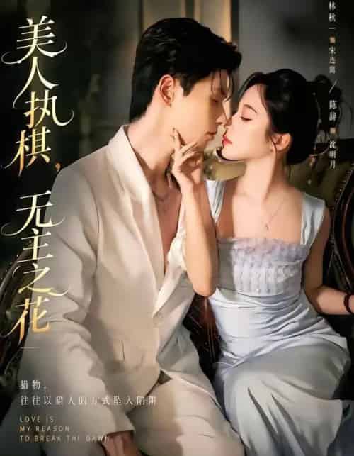 美人执棋，无主之花（65集全）林秋一＆陈辞＆谭昊麒-紫橙网创项目网