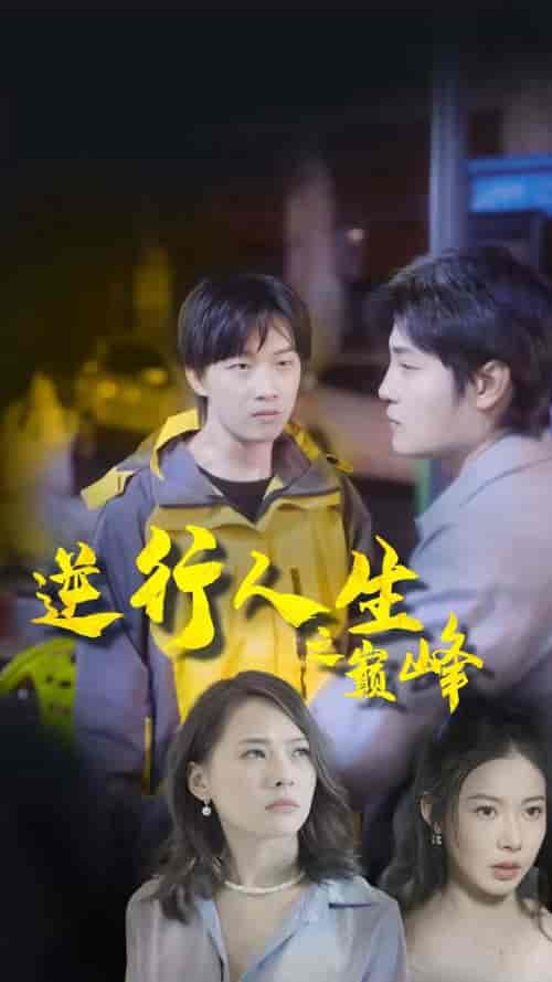 逆袭人生之巅峰（92集） - 紫橙阁短剧