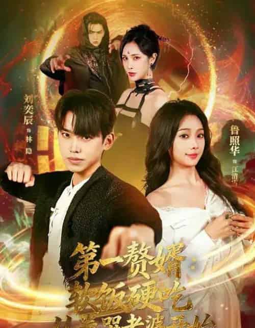 第一赘婿:软饭硬吃,从卷哭老婆开始&第一赘婿软饭硬吃从卷哭老婆开始(69集全)刘奕辰&鲁照华-紫橙网创项目网