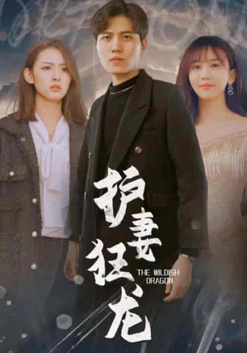 护妻狂龙（100集全）楚绝尘＆沈云初 - 紫橙阁短剧