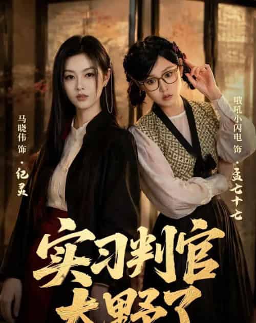 实习判官太野了(60集全)马晓伟&李昱潼-紫橙网创项目网