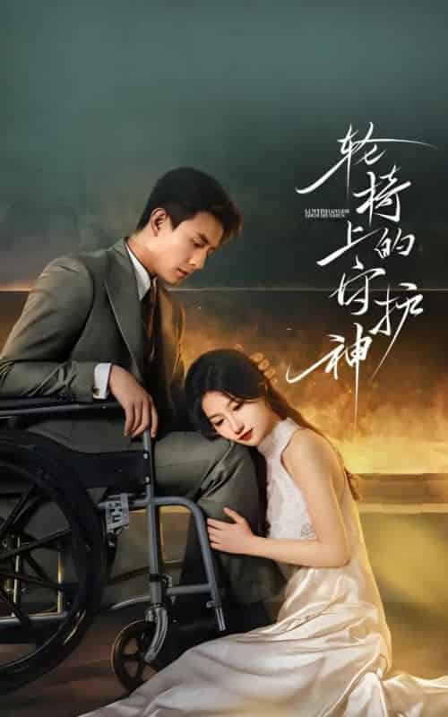 轮椅上的守护神（25集全）刘萧旭＆兰岚-紫橙网创项目网
