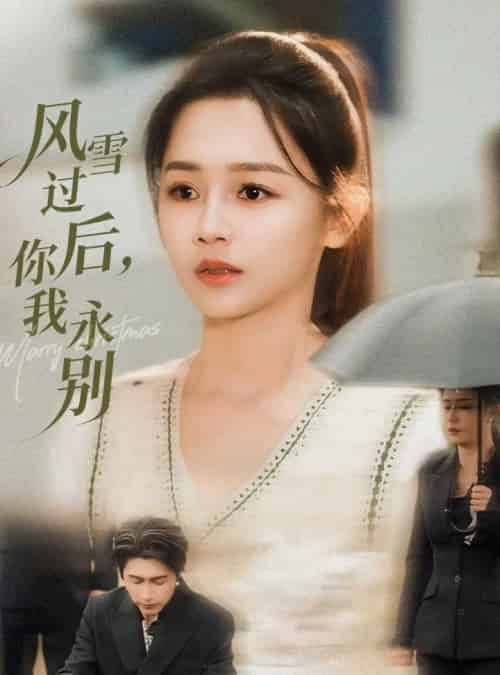 风雪过后你我永别（51集全）王禹润＆郑湘敏-紫橙网创项目网