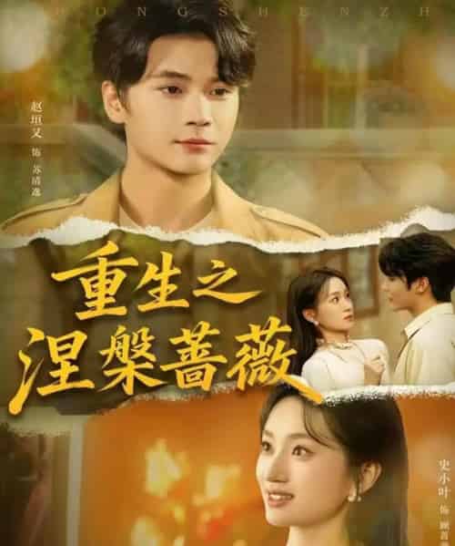 重生之涅槃蔷薇(80集全)赵坦又&史小叶-紫橙网创项目网