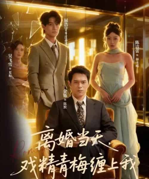 离婚当天戏精青梅缠上我(79集全)陈洁蕾&金铄-紫橙网创项目网