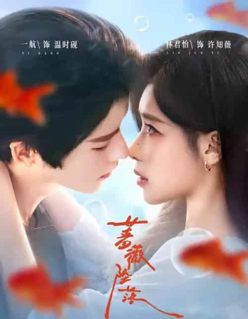 蔷薇坠落(94集全)一航&林君怡-紫橙网创项目网