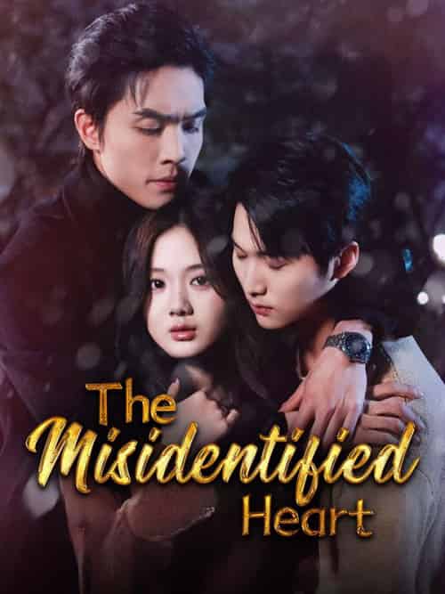 The Misidentified Heart The Misidentified Heart