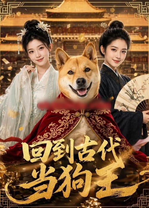 回到古代当狗王(60集全)AI短剧-紫橙网创项目网