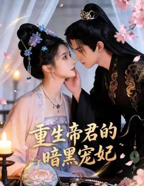 重生帝君的暗黑宠妃（62集全）AI-紫橙网创项目网