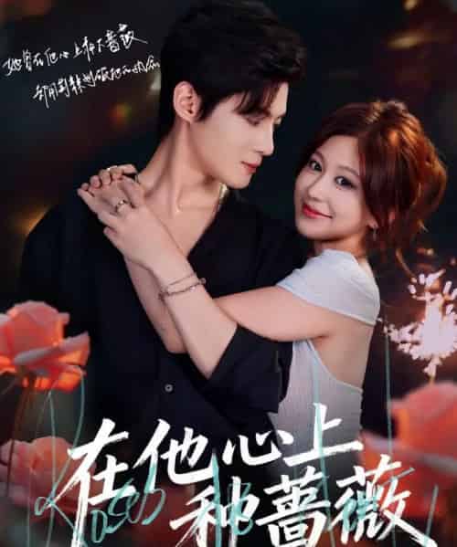 在他心上种蔷薇 在他心上种蔷薇