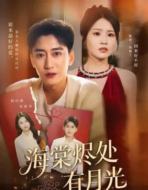 海棠烬处有月光 海棠烬处有月光