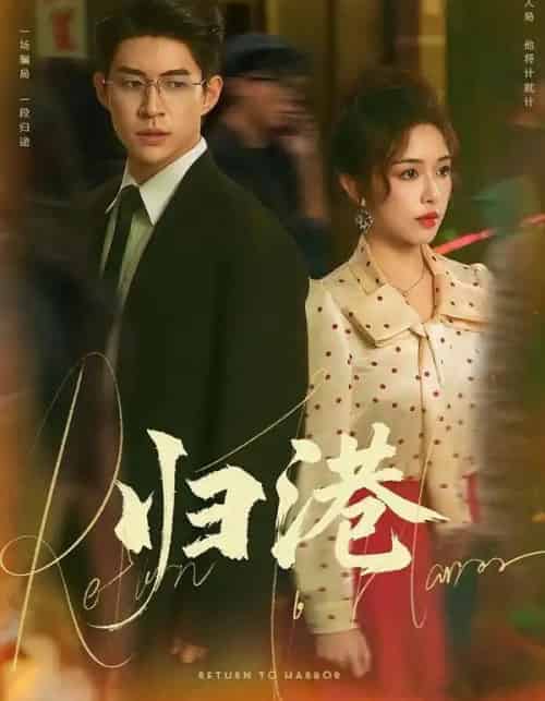 归港（63集全）毛唯嘉＆贾金赛-紫橙网创项目网