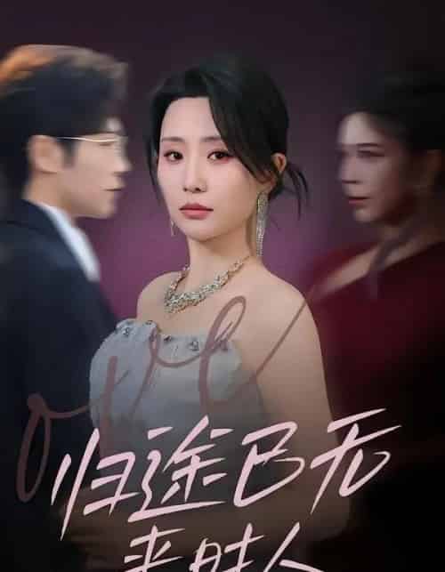 归途已无来时人(70集全)李智颖&薛大钊-紫橙网创项目网