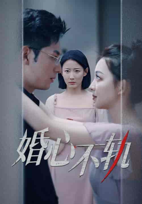 婚心不轨（50集） - 紫橙阁短剧