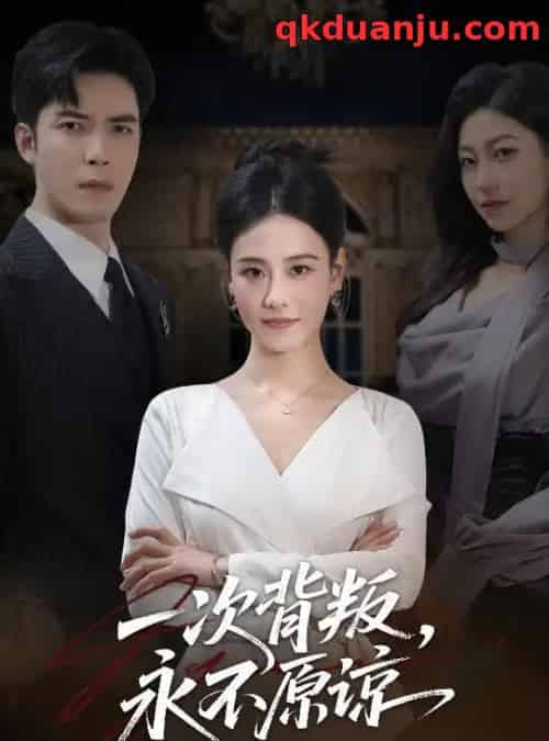 一次背叛，永不原谅（60集全）王艳秋＆李浩-紫橙网创项目网