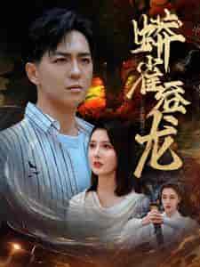 蟒雀吞龙（91集） - 紫橙阁短剧