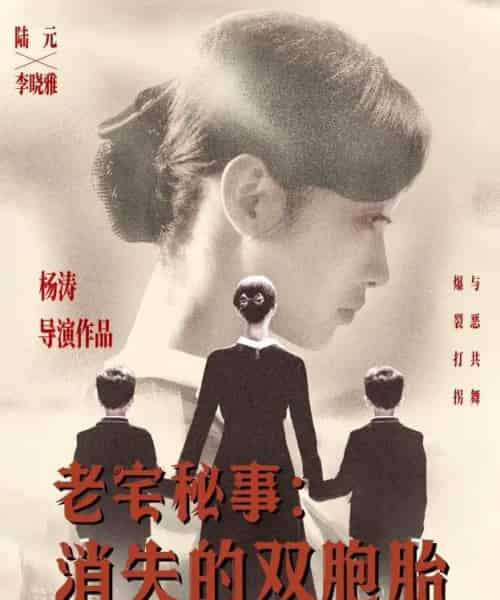 老宅秘事消失的双胞胎＆消失的孩子（90集）陆元 - 紫橙阁短剧
