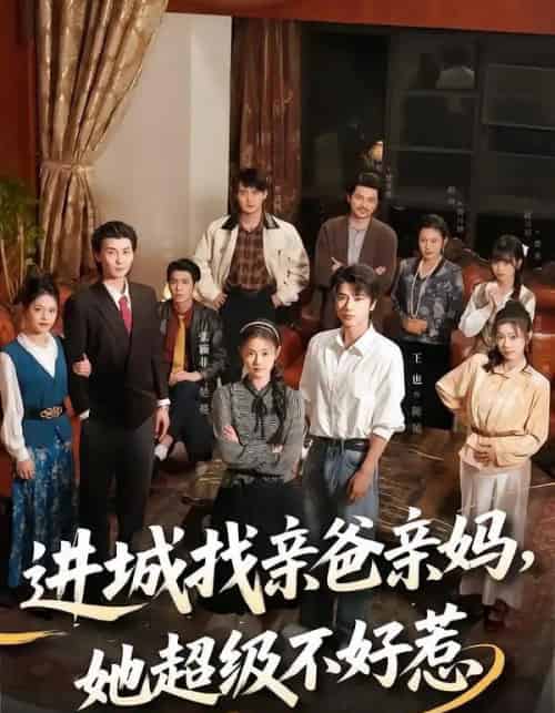 进城找亲爸亲妈,她超级不好惹(95集全)张颖菲&王也-紫橙网创项目网