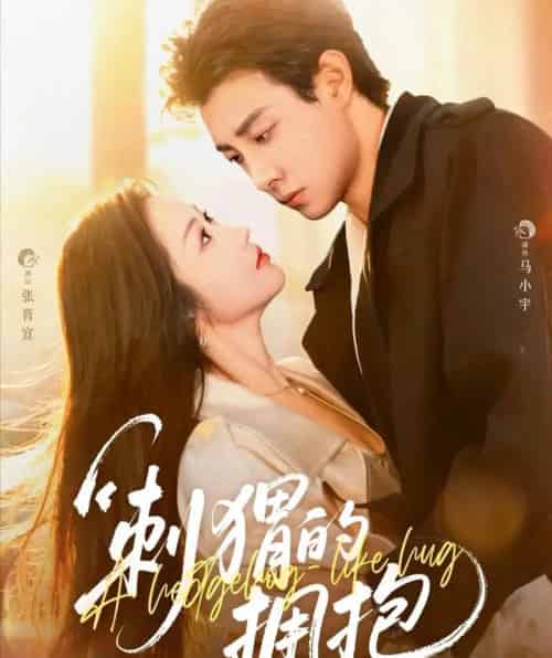 刺猬的拥抱（71集全）马小宇＆张晋宜-紫橙网创项目网