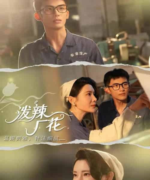 泼辣厂花（68集全）黄怀霆＆陈芊淇-紫橙网创项目网