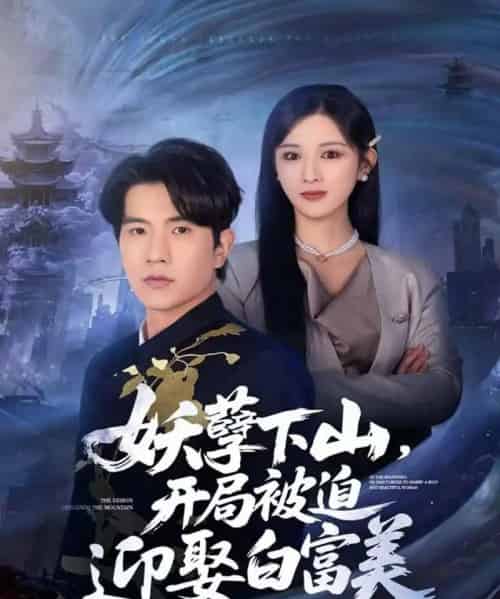 妖孽下山，开局被迫迎娶白富美（81集全）李致逸＆赵慧-紫橙网创项目网
