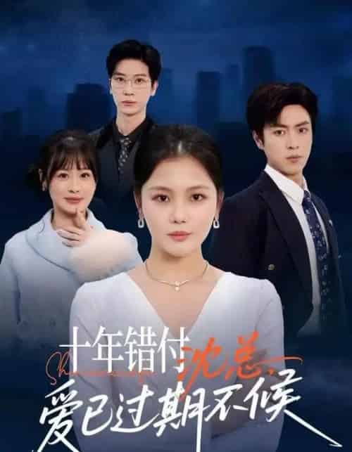 十年错付:沈总,爱已过期不候 十年错付:沈总,爱已过期不候