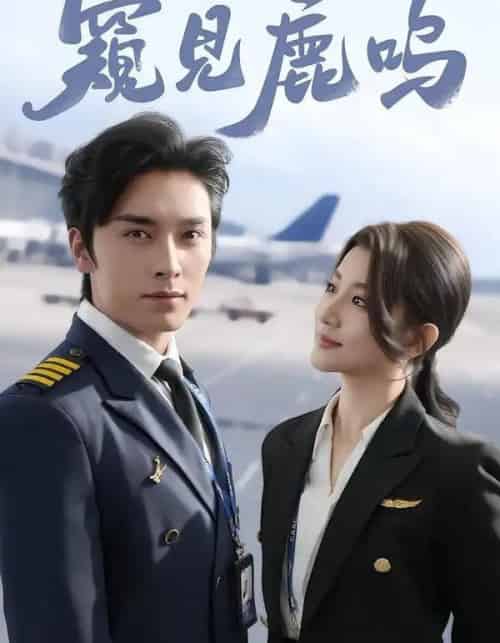 窥见鹿鸣（60集全）王博＆王如玮-紫橙网创项目网