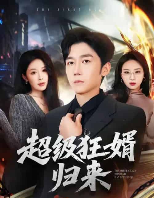超级狂婿归来（81集全）杨景景＆彭剑雄-紫橙网创项目网