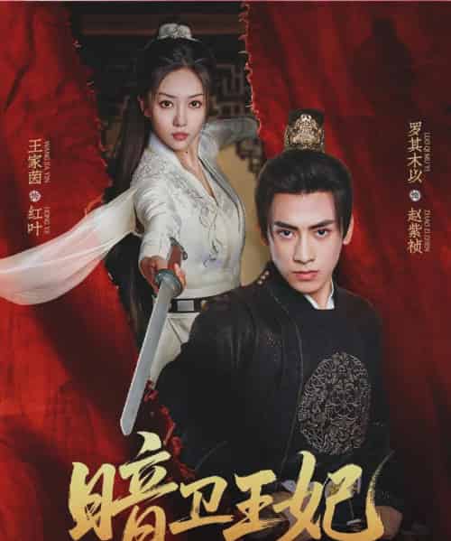 暗卫王妃（60集）王家茵＆罗其木以-紫橙网创项目网