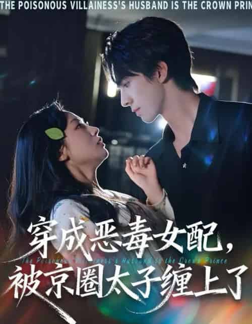 穿成恶毒女配，被京圈太子缠上了（56集全）冯文栋＆孙懿飞-紫橙网创项目网