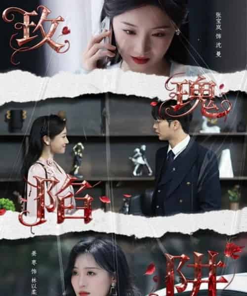 玫瑰陷阱(40集全)陈瑞&张宝岚-紫橙网创项目网