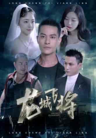 龙城飞将（85集） - 紫橙阁短剧