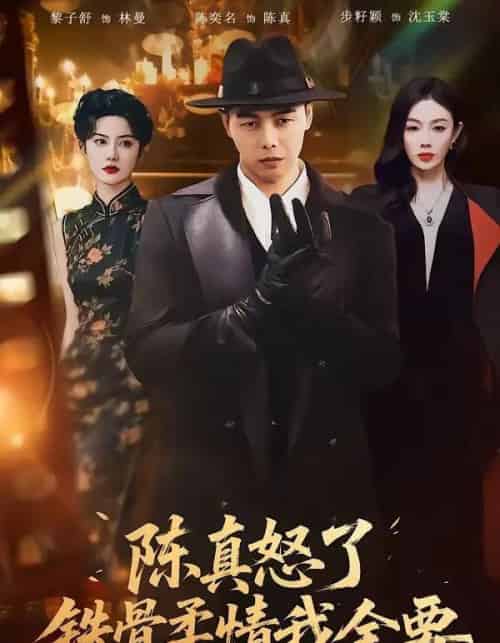陈真怒了铁骨柔情我全要(74集全)陈奕名&黎子舒-紫橙网创项目网