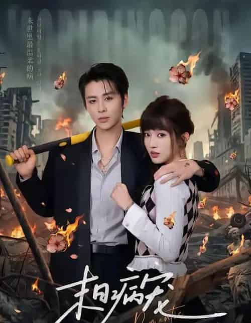 末日病宠(60集全)纪俊良&戚羽佳-紫橙网创项目网