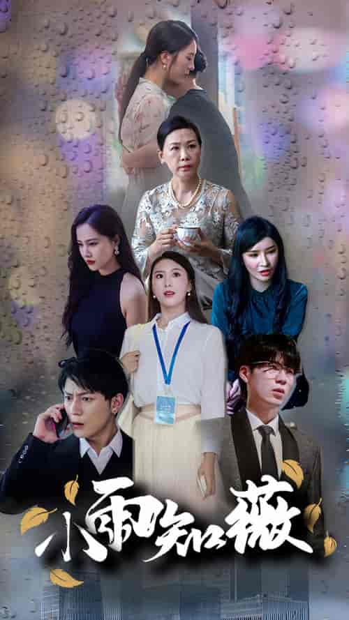 小雨知薇（80集） - 紫橙阁短剧